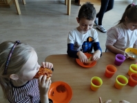 img_20250210_123154729-kopiowanie-jpg1741275913